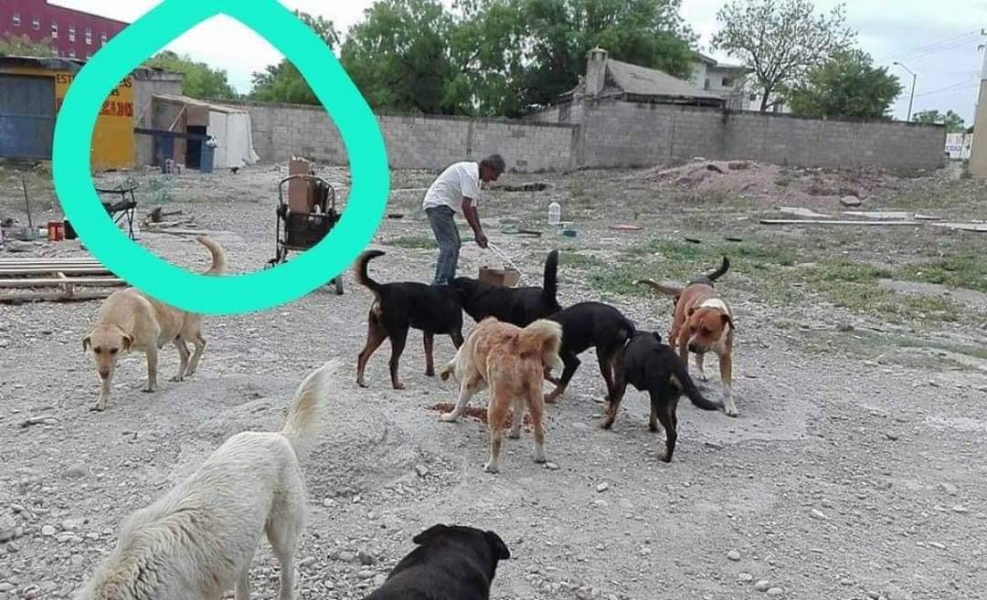 Don Benito y sus perritos. Fotografía de redes sociales.