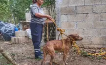 Rescatan con éxito a Gordo, el perrito atrapado en un pozo en Motul, Yucatán