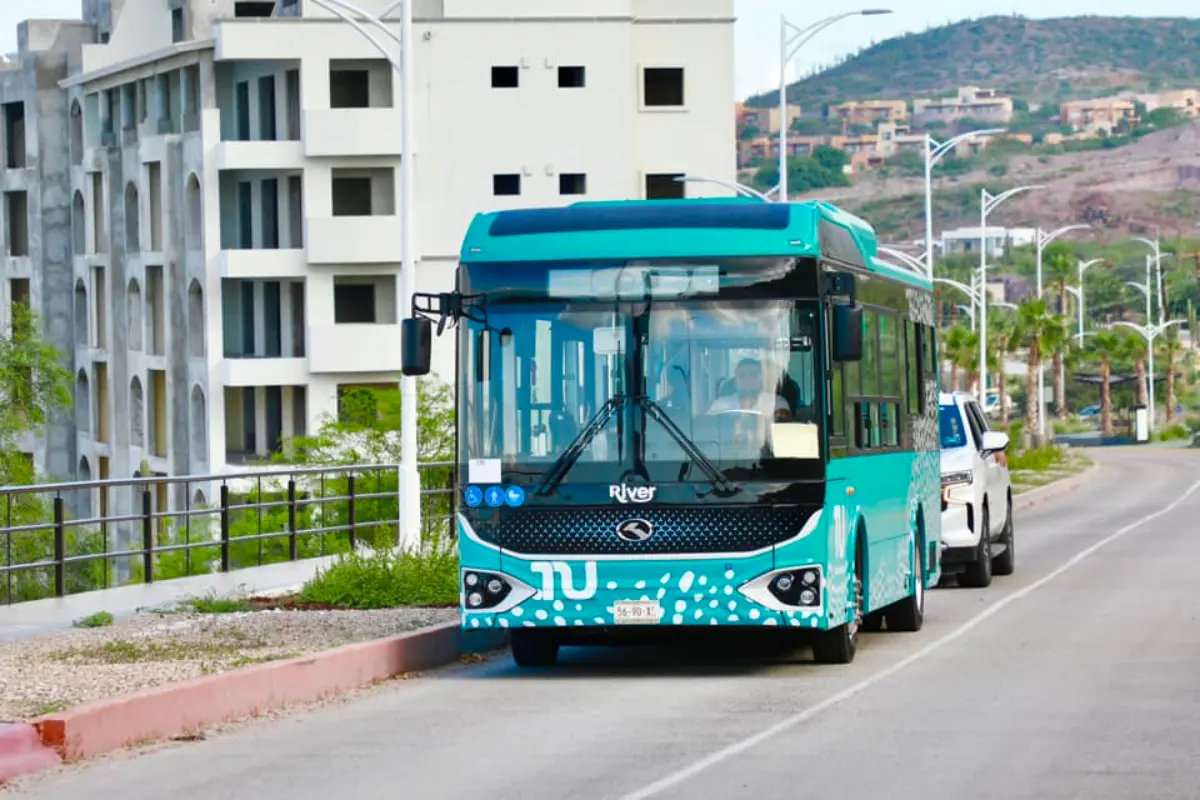 Transporte público Tiburón Urbano operará con 4 rutas en primera etapa. Foto: X @quirogamilena_