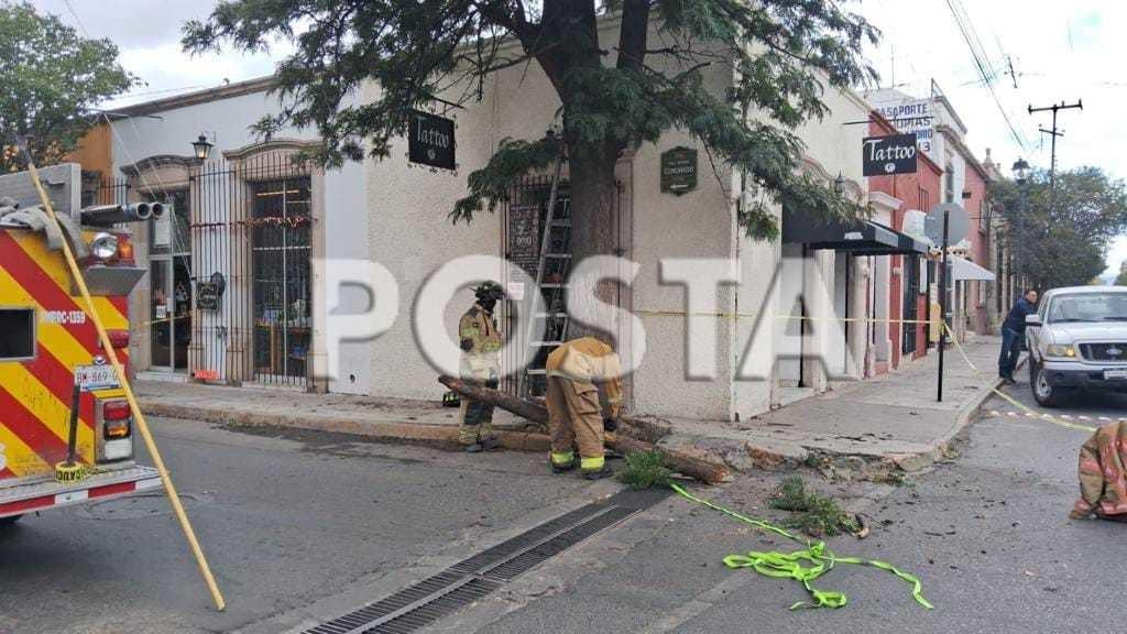 Frente Frío 29: Cae un espectacular sobre varios carros en avenida La Salle