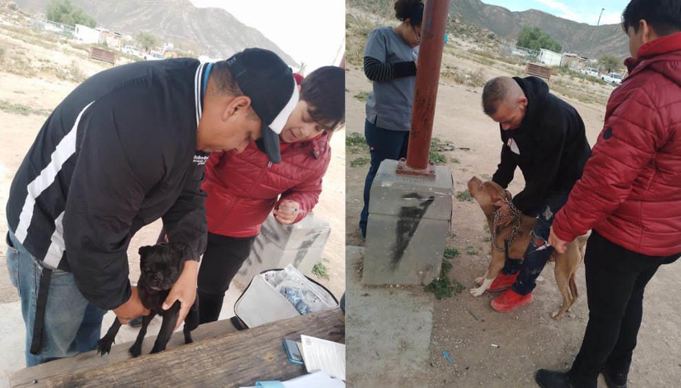 Estas brigadas están dirigidas a perros y gatos con más de tres meses de edad y que no estén enfermos. (Fotografía: Gobierno Ramos Arizpe)