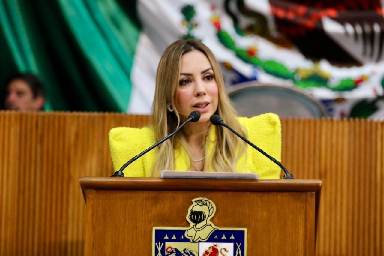 Tras los hechos reportados en los últimos seis días, donde nueve personas murieron intoxicadas por gas, al intentar mitigar el frío en sus hogares, la legisladora mencionó que es necesario tomar medidas para concientizar a la ciudadanía. Foto: Cortesía