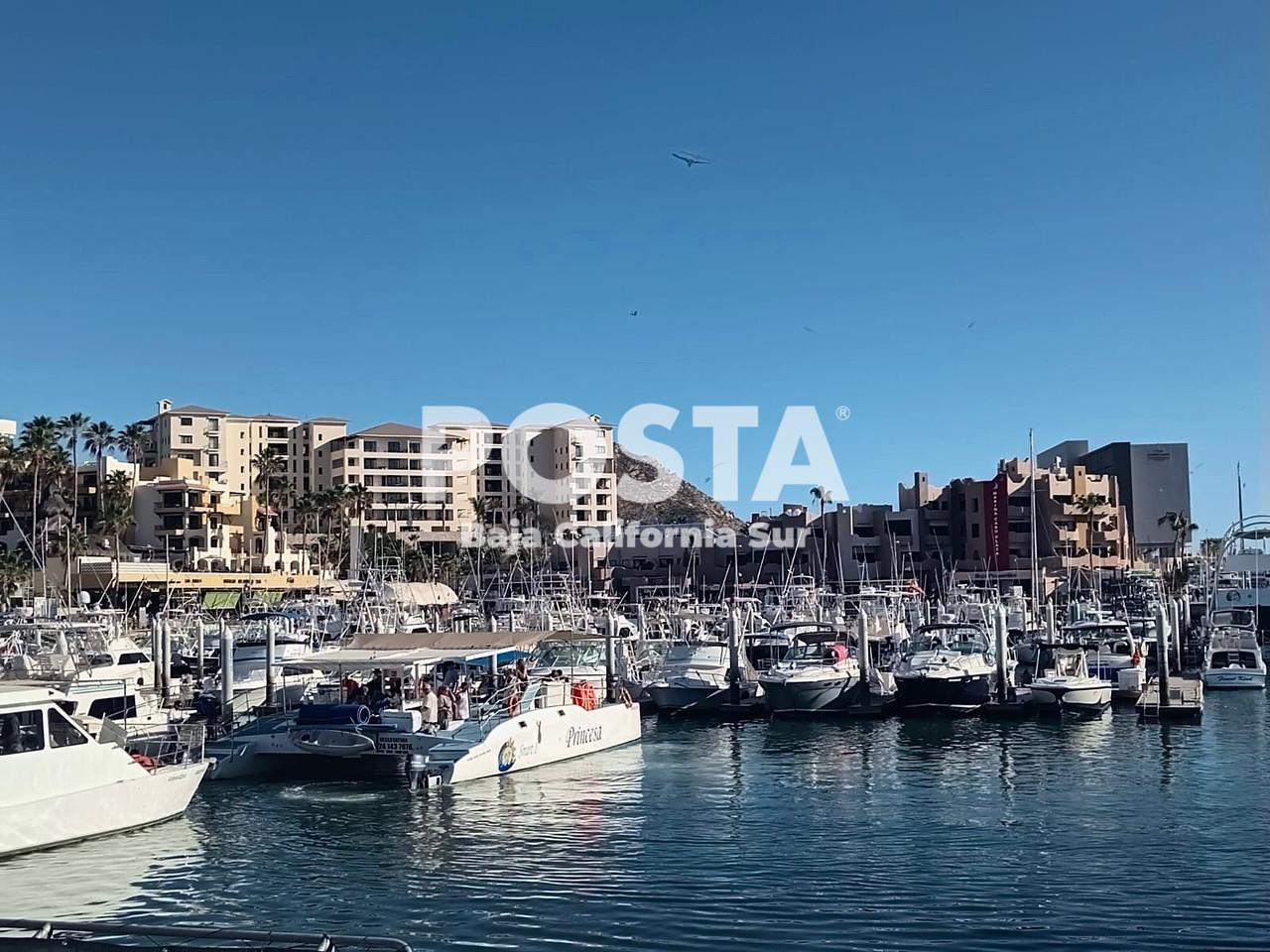 Marina de CSL. Foto: Irving Thomas POSTA.