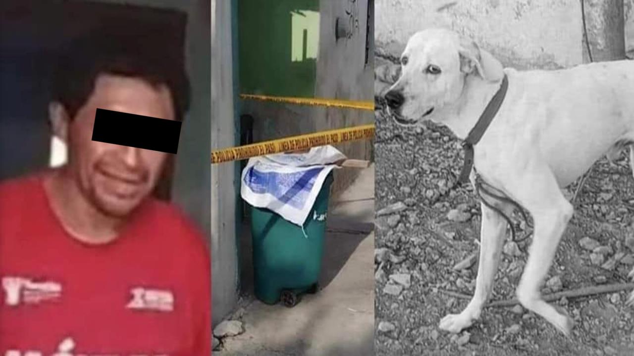 Manifestantes en pro de los derechos de los animales hicieron acto de presencia durante la audiencia Foto: Internet