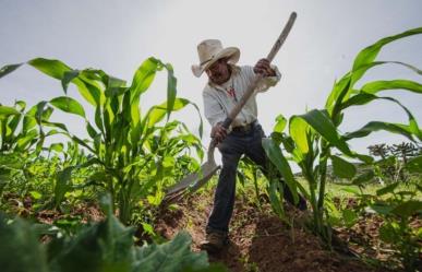 José Narro llama a “descongelar” reformas que beneficiarían al campo mexicano