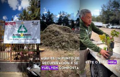 ¡No lo tires! Mejor recicla tu árbol de Navidad en Tlalpan