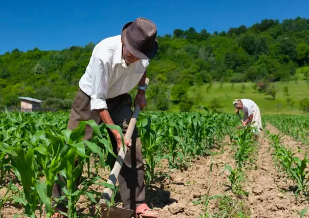 Piden reunión con la SHCP para solucionar adeudos de agricultores