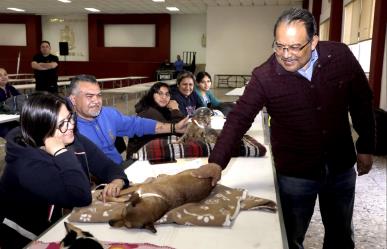 Escobedo realiza jornada de esterilización beneficiando a 100 mascotas