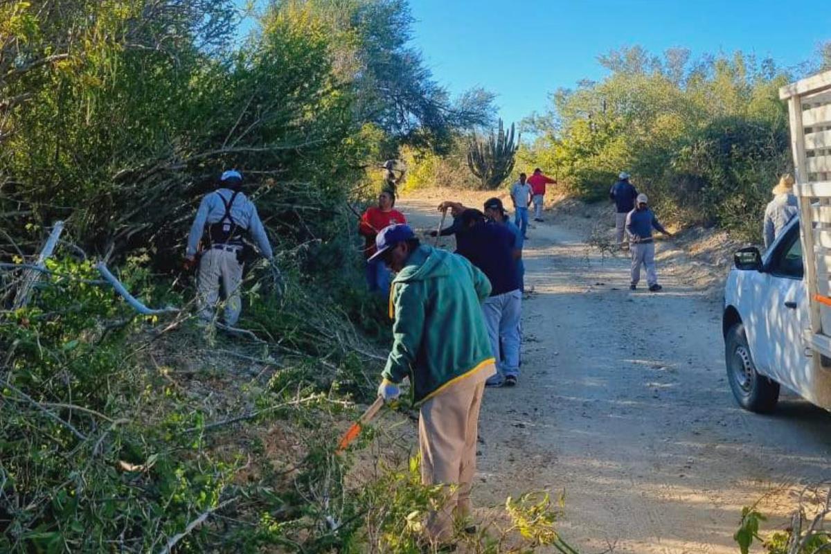 Limpian y rehabilitan caminos en la zona rural de Los Cabos