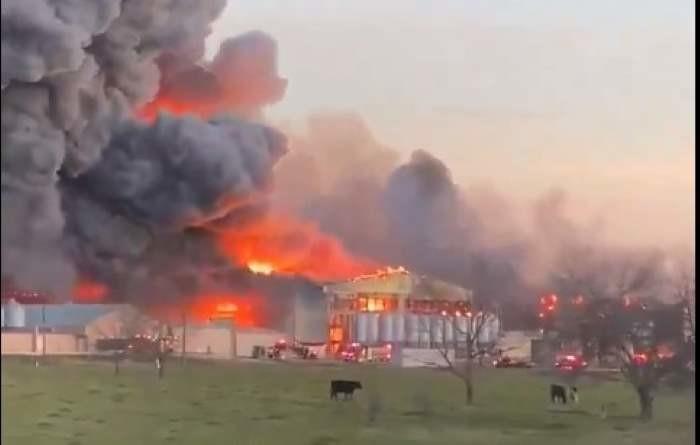 Incendio consume toda una granja de pollos ubicada en la zona rural de Kurten en Texas. Foto. Captura de Imagen