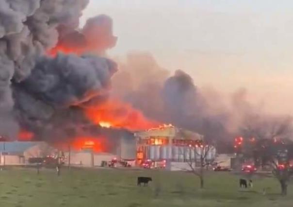 Incendio consume granja de pollos en Kurten, Texas