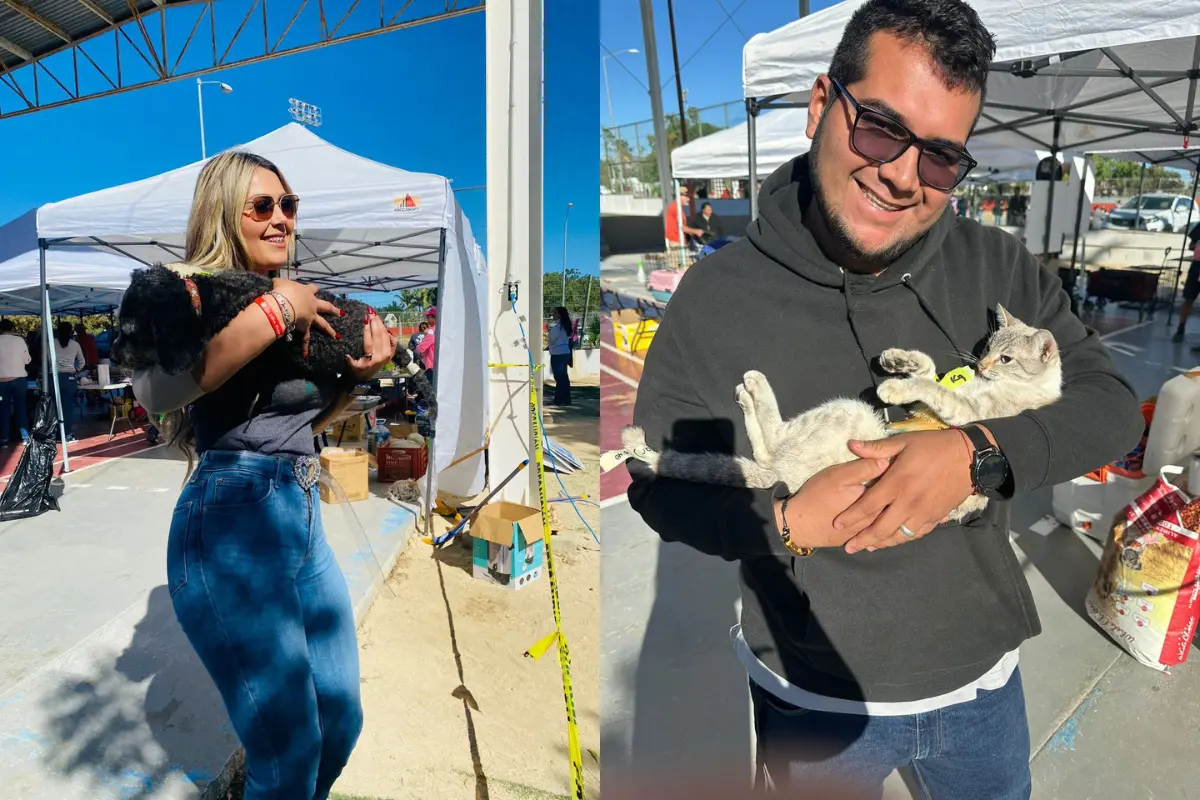 Primera jornada de esterilización de mascotas en Los Cabos. Foto: Ayuntamiento de Los Cabos