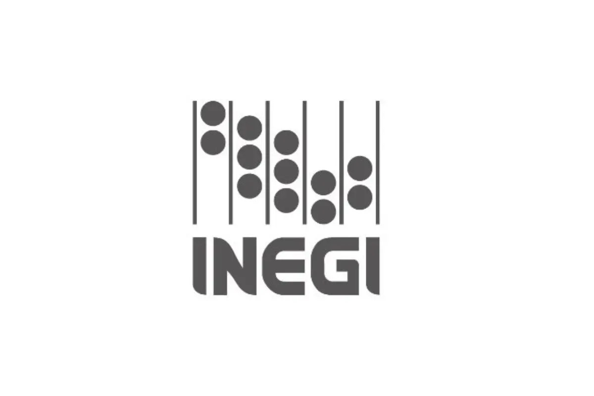 El estudio fue publicado este miércoles 31 de enero por el INEGI. Fuente: INEGI