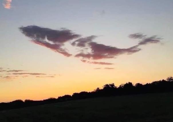 Captan silueta de ballena en el cielo en Comondú