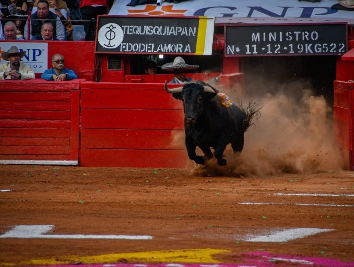 La suspensión provisional obliga a que deberán suspenderse los espectáculos taurinos de inmediato. Foto: X @ObturadorMX_