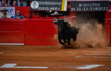 Ordena jueza suspender corridas de toros en Plaza México