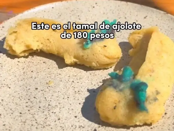 Pero lo que llamó la atención de los internautas fue el elevado costo, pues el precio de un solo tamal es de 180 pesos. Foto: TikTok.