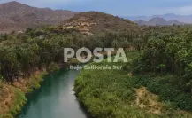 Día Mundial de los Humedales: BCS cuenta con 11, conoce sus funciones
