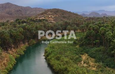 Día Mundial de los Humedales: BCS cuenta con 11, conoce sus funciones