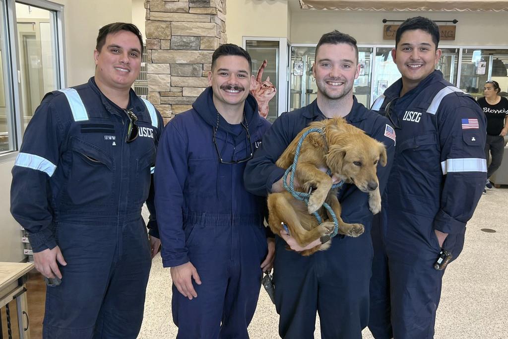Rescate de perrita en puerto de Houston: historia con final feliz (VIDEO)