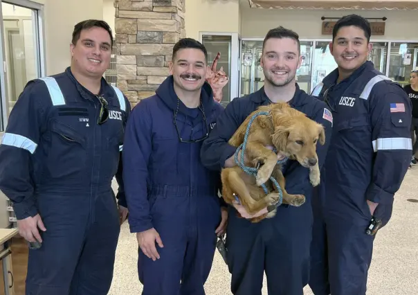 Rescate de perrita en puerto de Houston: historia con final feliz (VIDEO)