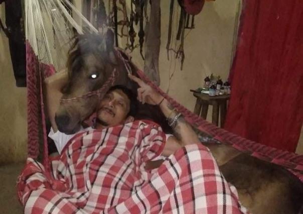 Vaquero yucateco hace ´loch´ con su caballo para protegerlo de la ´heladez´