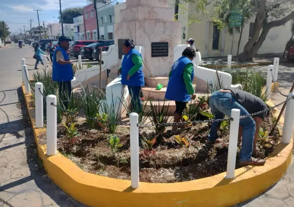 Reforestan calles de Progreso con más de 750 ejemplares
