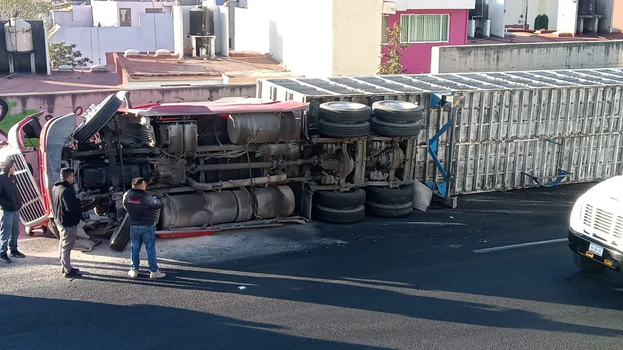 Accidente vial involucra a tráiler con cerdos vivos. Imagen: Especial