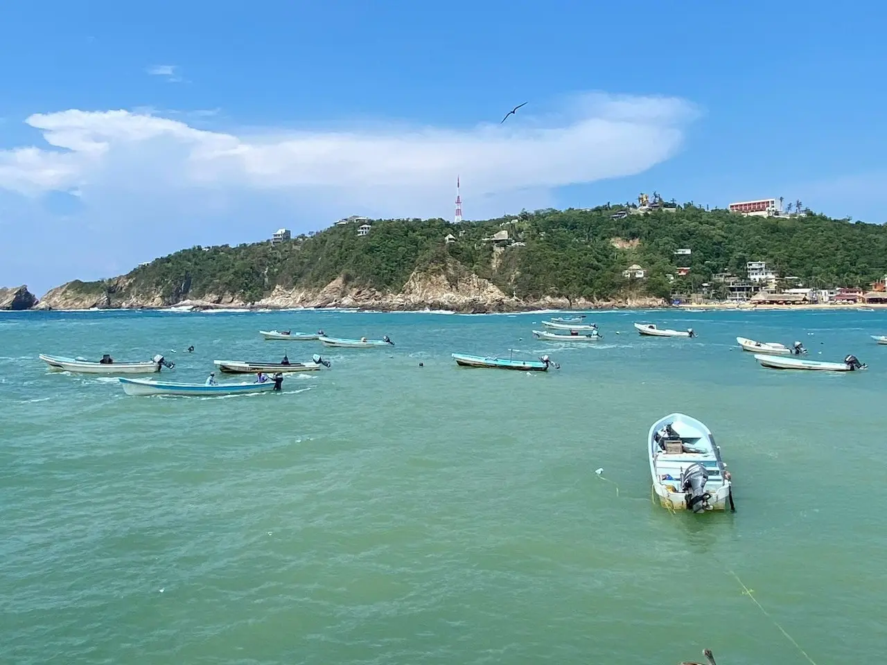Autopista Oaxaca - Puerto Escondido reducirá tiempo de viaje a menos de 3 horas