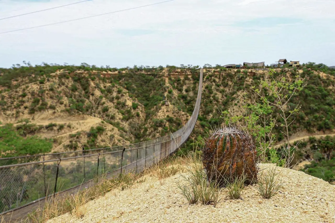 Conoce el puente colgante de madera más largo del mundo en Los Cabos