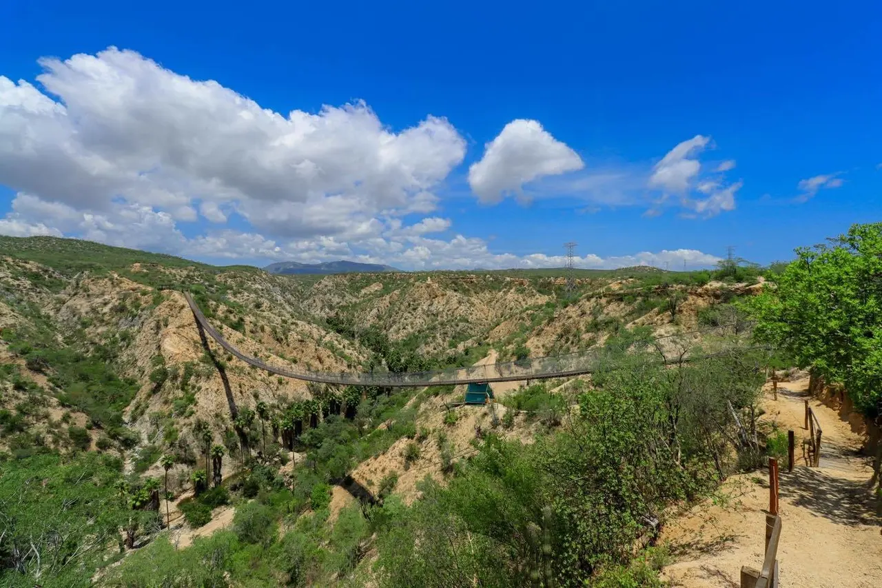 Conoce el puente colgante de madera más largo del mundo en Los Cabos