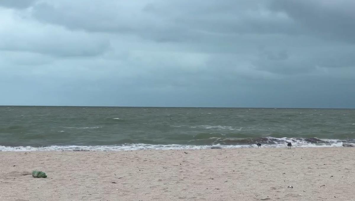 Este será el frente frío 32 que afecte a la Península de Yucatán: Foto: Irving Gil