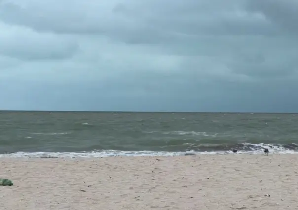 Clima en Yucatán: Pronostican fuerte ingreso del frente frío “Tuk” este domingo