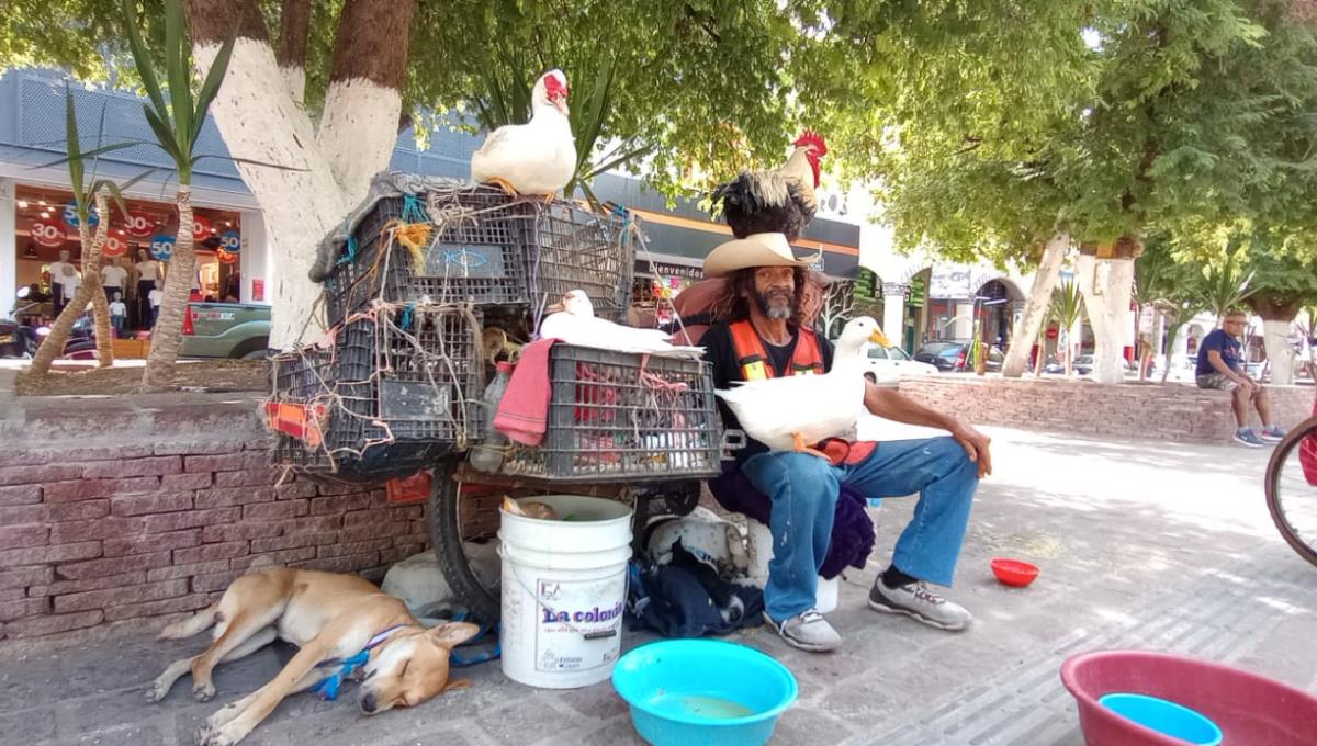 El señor de los patos asegura que su misión es predicar la palabra de Dios Fotos: P.M Noticias Guerrero