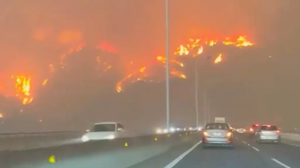 Chile: Incendios forestales ya acumulan más de 50 muertos !Declaran alerta roja!