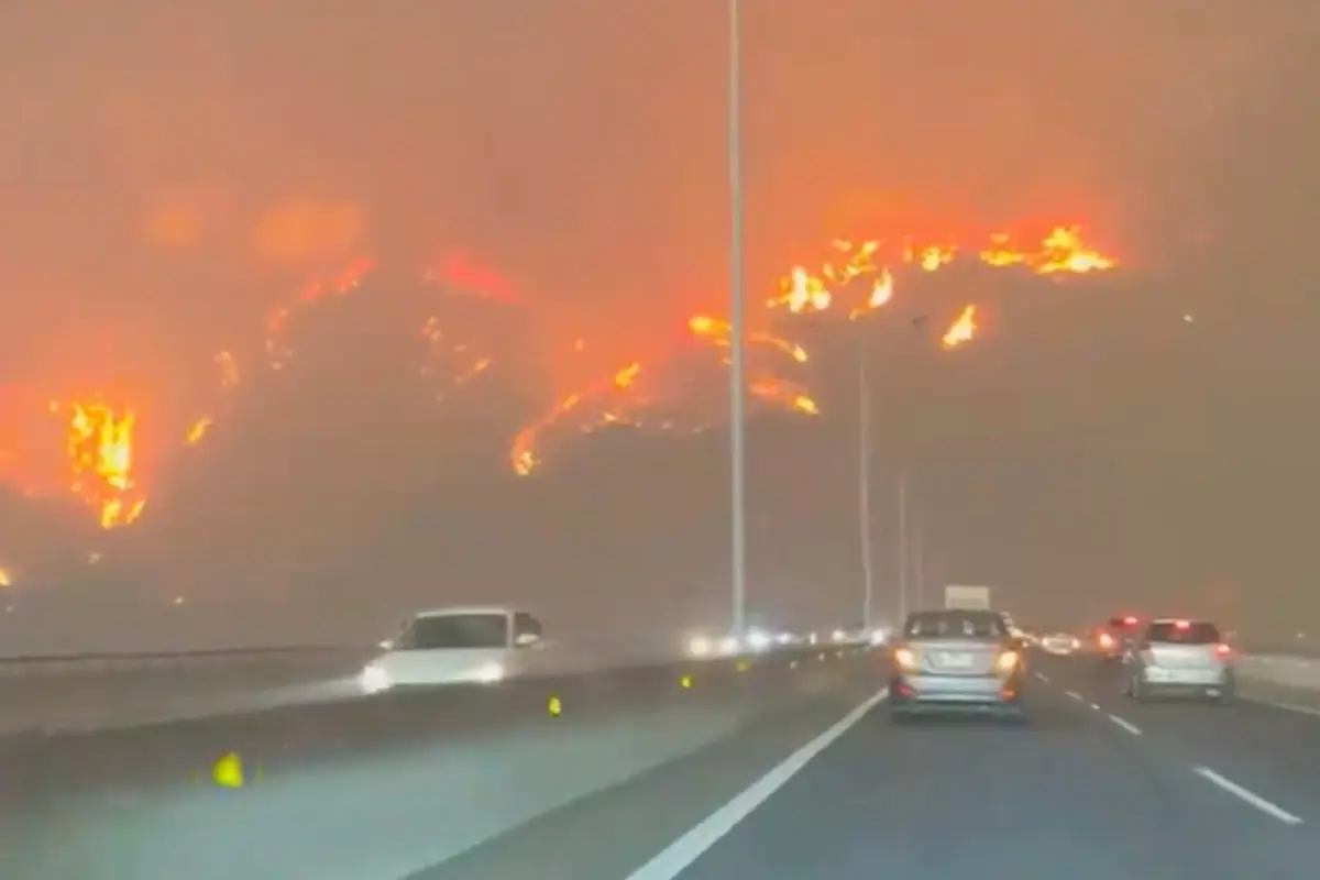 Los incendios han calcinado más de 40 mil hectáreas Foto: X(Twitter) @CapiSuperGirl