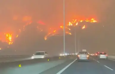 Chile: Incendios forestales ya acumulan más de 50 muertos !Declaran alerta roja!