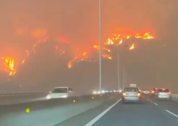 Chile: Incendios forestales ya acumulan más de 50 muertos !Declaran alerta roja!