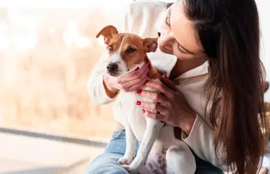 Acabar con el capricho de regalar animales como si fueran juguetes, busca PVEM