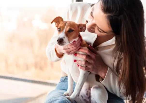 Acabar con el capricho de regalar animales como si fueran juguetes, busca PVEM