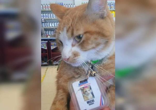 Nombran a gatito gerente de una refaccionaria
