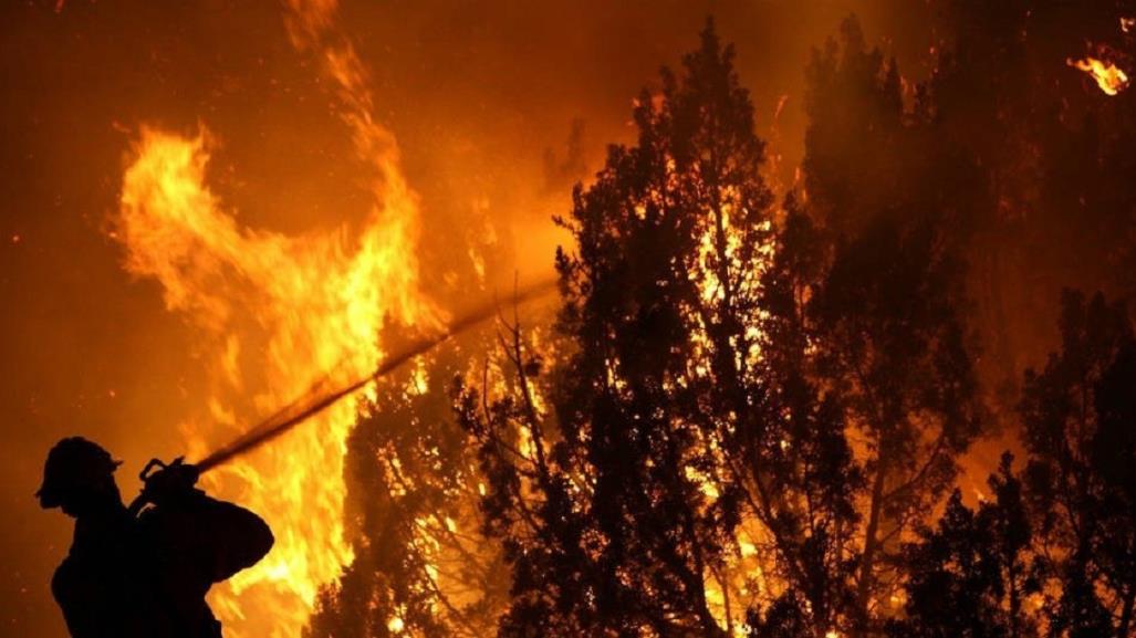 Suman 64 muertos por incendios forestales en Chile