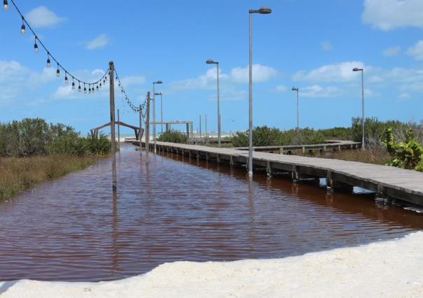 Cierran el Malecón de Progreso por recientes afectaciones