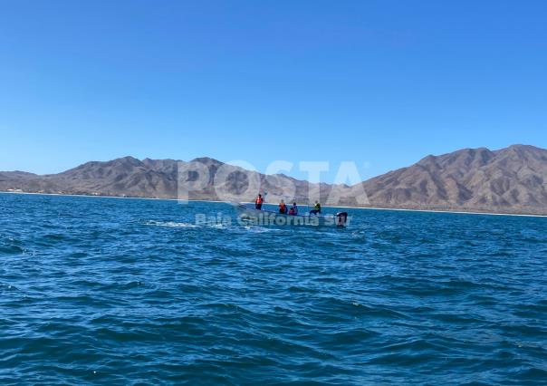 Avistamiento de ballenas en Puerto Chale: ¿cuánto cuesta verlas?