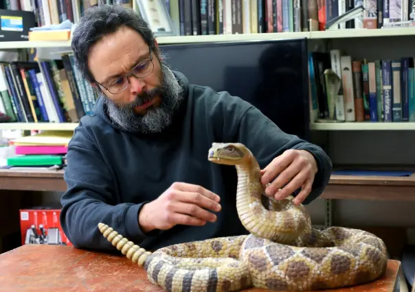 Es UANL líder nacional en el estudio de reptiles con herpetología