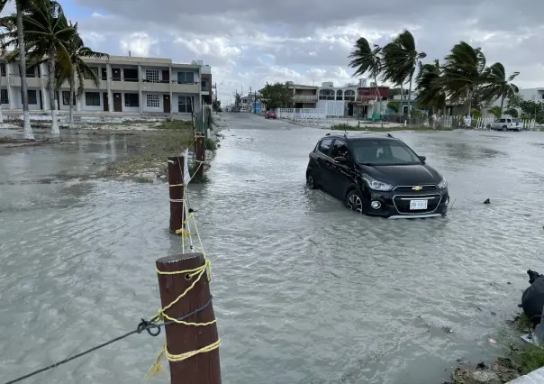 Éste fue el saldo de los fuertes vientos registrados en Yucatán