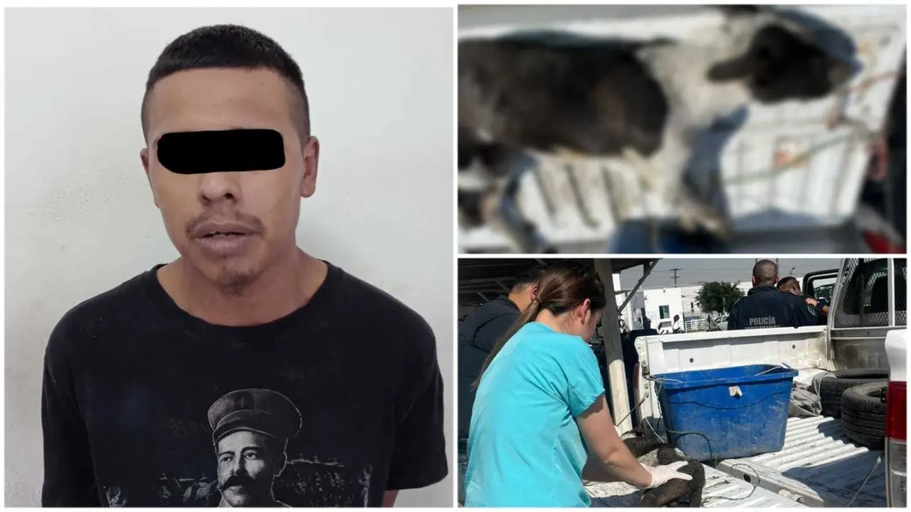 Detiene Proxpol Escobedo a hombre por maltrato físico a perrito en Escobedo