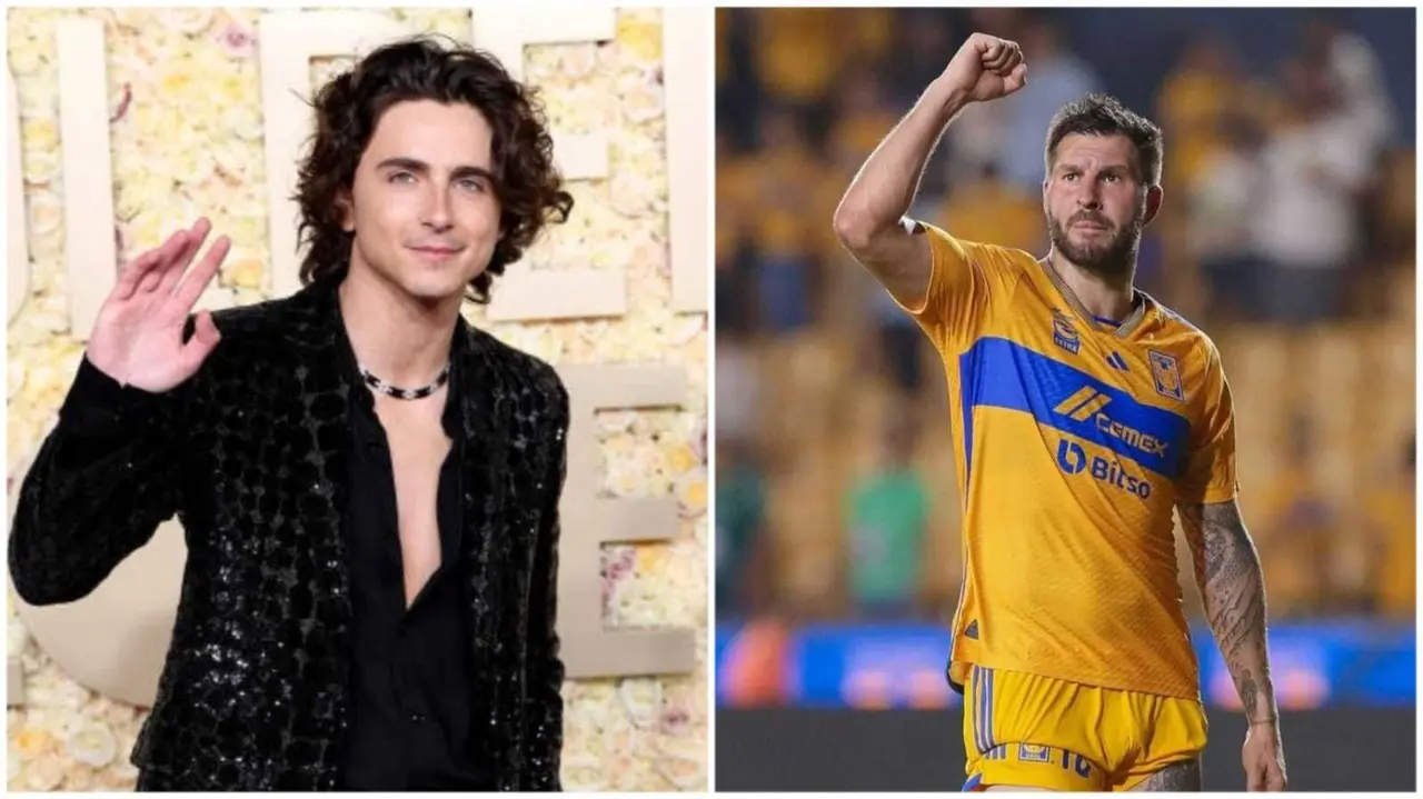 ¿Incomparable? Timothée Chalamet habla de André Pierre Gignac y Tigres (VIDEO)