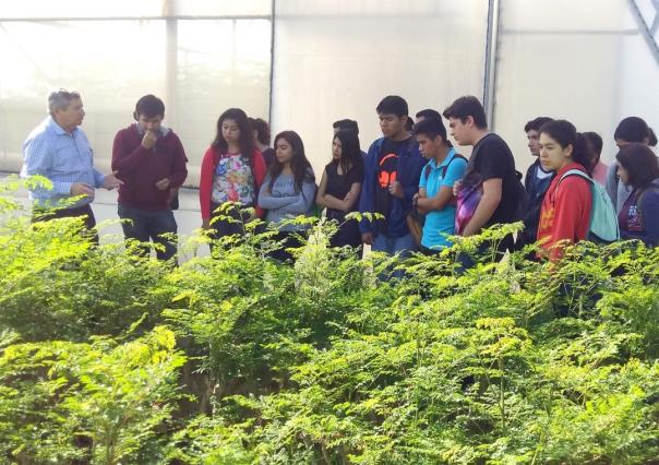 Muestra UANL propiedades de la moringa con curso