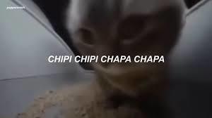 Captura de pantalla del vídeo de gatito Chipi chipi.